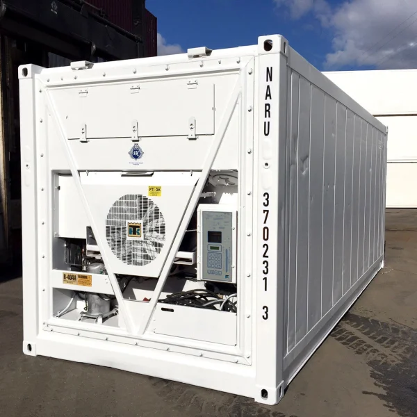 20 Feet Freezer Container Compact Mobile Cold Storage Cell Thermo King / Reefer