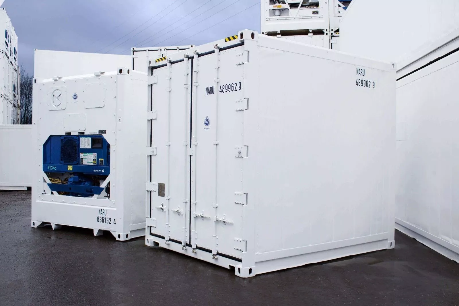 10 Feet Freezer Container Compact Mobile Cold Storage Cell Reefer Container
